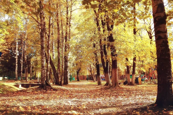 Herbst Park Sonnenlandschaft Saison Herbst Landschaft Einem Gelben Park Sonnenstrahlen — Stockfoto
