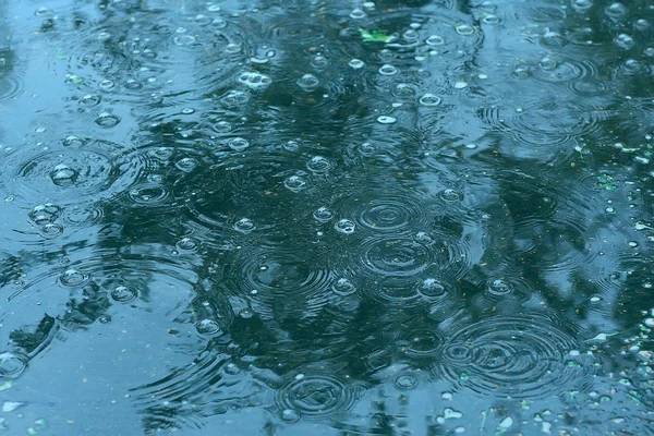 蓝色背景水坑雨 水坑上的圆圈 水中的气泡 天气是秋天 — 图库照片