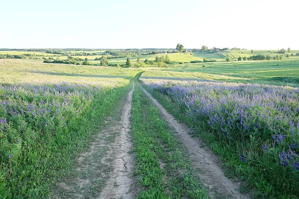 Krajinářství Velká Krajina Nebe Vesnici Purpurové Květiny — Stock fotografie