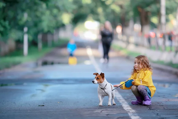 犬ジャックラッセルテリア 子供の子供時代の友情 ペット 秋の公園の散歩で小さな犬を持つ小さな女の子 — ストック写真