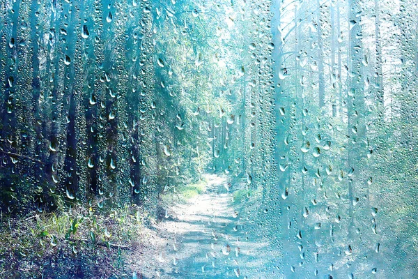 夏の雨濡れガラス 窓の外の雨の日に抽象的な背景風景ぼやけた背景 — ストック写真