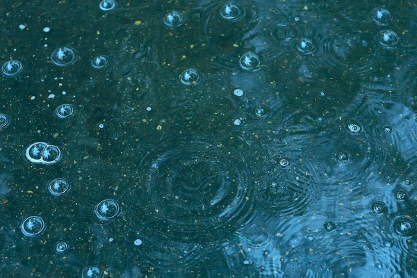 Modrá Pozadí Deště Dešťové Kapky Kruhy Louži Bubliny Vodě Počasí — Stock fotografie