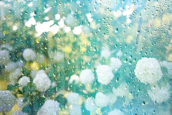 夏季雨湿玻璃 抽象背景景观在雨天窗外模糊背景 — 图库照片