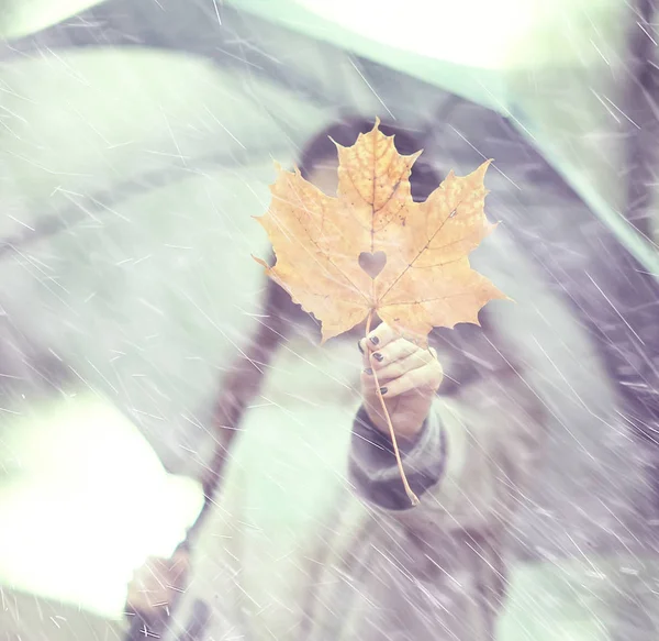 秋の葉ギフトカエデイエロー ハートから葉 コンセプト秋の表情 — ストック写真