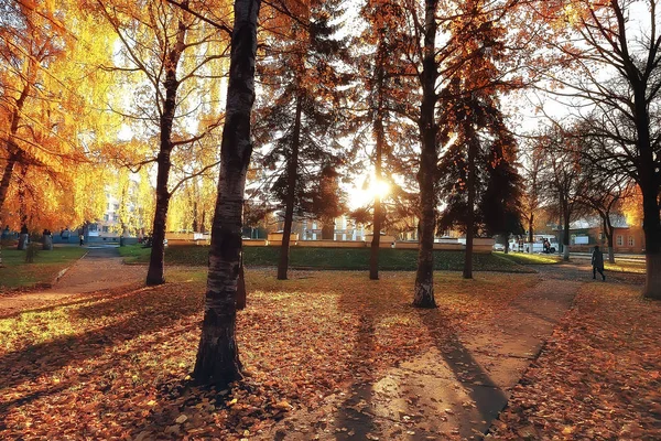 Verschwommen Herbst Hintergrund Park Gelbe Tapete Herbst Wald Konzept Der — Stockfoto