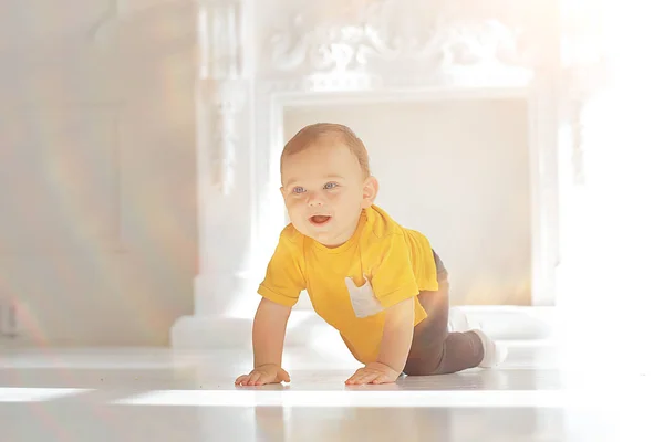 明るいスタジオで幼児の子供 小さな男の子の幼児美しい健康な子供 — ストック写真