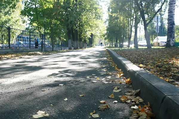 Осенний Лес Север Пейзаж Осеннем Лесу Северный Вид Природу Осенний — стоковое фото