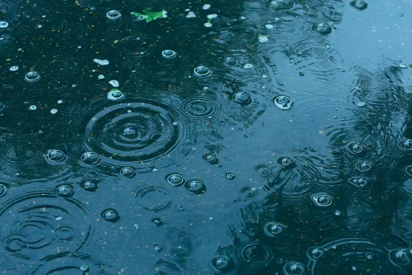 Kék Háttér Pocsolya Eső Esőcseppek Körök Egy Pocsolya Buborékok Vízben — Stock Fotó