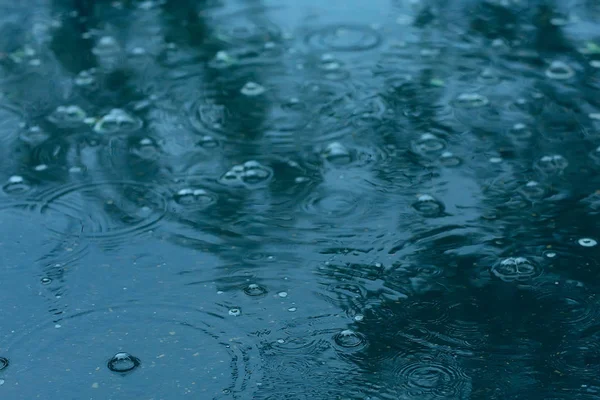 Fundo Azul Poça Chuva Gotas Chuva Círculos Uma Poça Bolhas — Fotografia de Stock