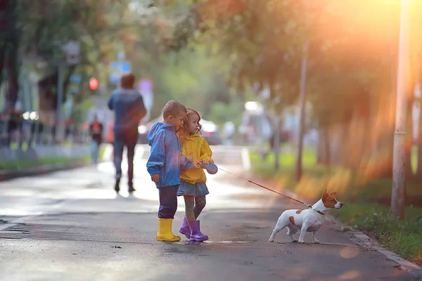 子供の犬の秋 2人の子供 秋の公園で小さな犬と一緒に歩く男の子と女の子 — ストック写真