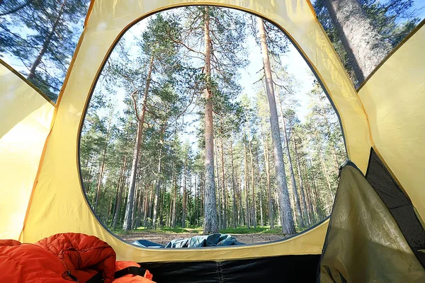 Туристическая Палатка Внутри Летнего Леса Летний Отдых Лесу Палатка Видом — стоковое фото