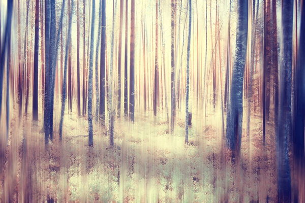 Autumn forest blurred motion background / soft yellow nature landscape in autumn park