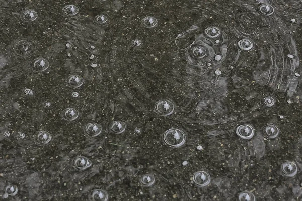 Fundo Poça Chuva Círculos Gotas Uma Poça Textura Com Bolhas — Fotografia de Stock