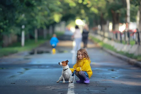 犬ジャックラッセルテリア 子供の子供時代の友情 ペット 秋の公園の散歩で小さな犬を持つ小さな女の子 — ストック写真