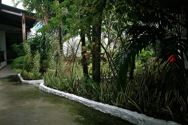Hotel Szezlongi Basen Odpoczynek Tropikalnym Hotelu Komfortowy Odpoczynek Rekreacja — Zdjęcie stockowe