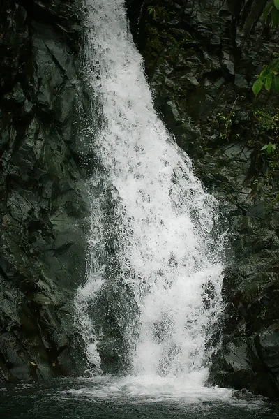 Cascata Della Giungla Filippini Fiume Cascate Dalle Rocce Cascata Sulle — Foto Stock