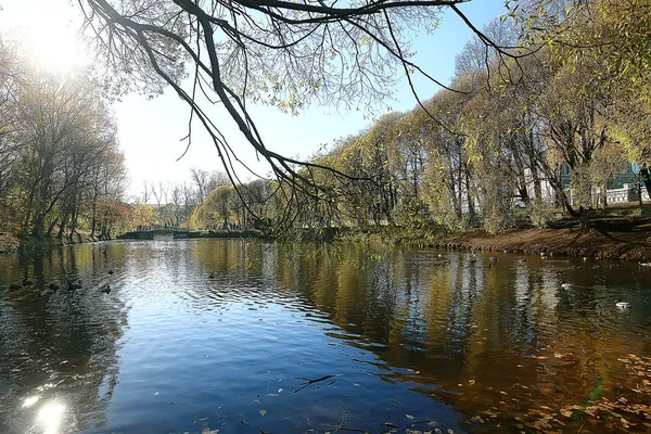 Jesienny Krajobraz Parku Sezonowy Żółty Krajobraz Słoneczny Park Opadłych Liści — Zdjęcie stockowe