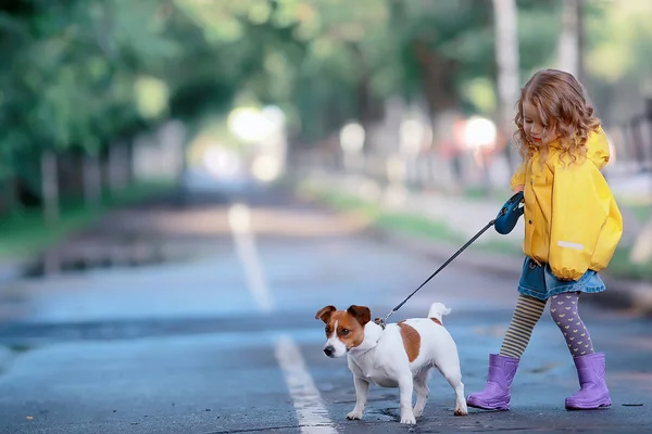 Petite Fille Avec Chien Jack Russell Terrier Enfant Amitié Enfance — Photo