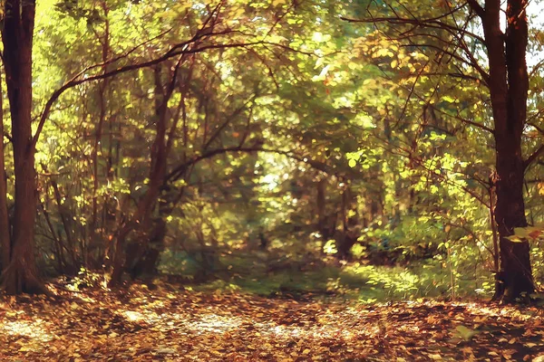 美しい秋の公園の風景 黄色い葉の木 秋の風景 葉の秋 — ストック写真