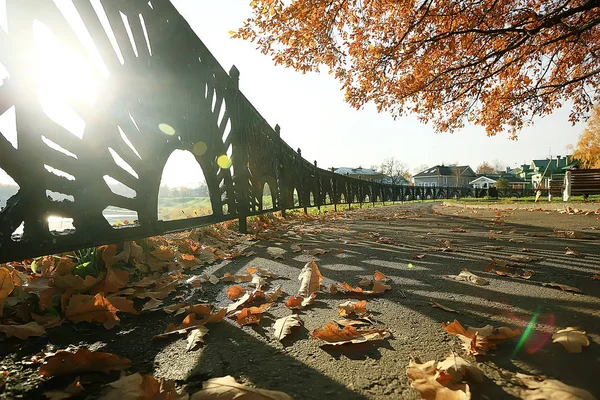 Autumn Park Sun Landscape Seasonal Autumn Landscape Yellow Park Sun — Stock Photo, Image