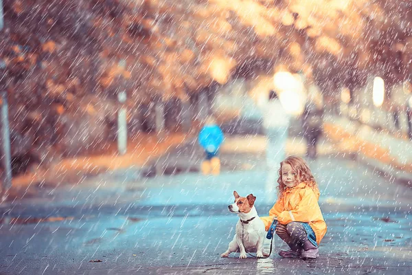 Bambina Con Cane Jack Russell Terrier Bambino Infanzia Amicizia Animale — Foto Stock