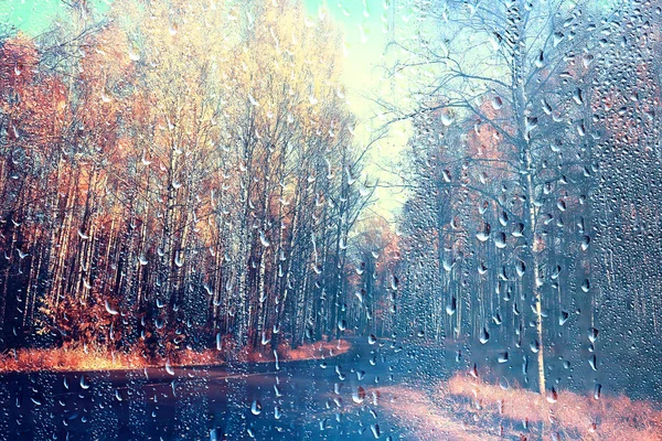 Deštivé Okno Podzimní Parky Větve Zanechává Žluté Abstraktní Podzimní Pozadí — Stock fotografie