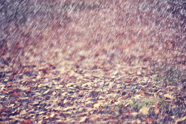 秋雨背景滴 抽象秋季景观在雨天 季节性景观在公园 — 图库照片