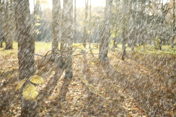 Herfst Regen Achtergrond Druppels Abstract Herfst Landschap Regenachtig Weer Seizoensgebonden — Stockfoto