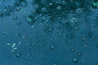 yağmur / yağmur damlaları mavi arka plan su birikintisi, bir su birikintisi üzerinde daireler, suda kabarcıklar, hava sonbahar