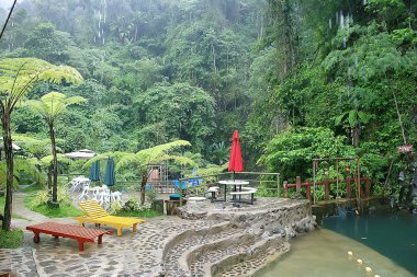 otel şezlong havuzu / tropikal otelde dinlenme, rahat dinlenme, rekreasyon