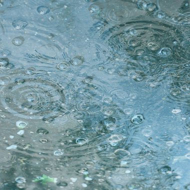 yağmur / yağmur damlaları mavi arka plan su birikintisi, bir su birikintisi üzerinde daireler, suda kabarcıklar, hava sonbahar