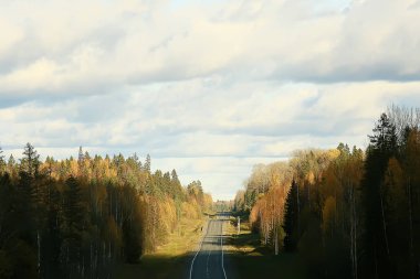 sonbahar orman kuzey / sonbahar orman peyzaj, kuzey, sonbahar sezonunda doğa görünümü