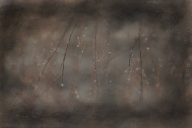 yapraksız sonbahar dalları arka plan / soyut mevsimsel doğa arka plan, çıplak dalları, yaprakları etrafında uçtu, sonbahar