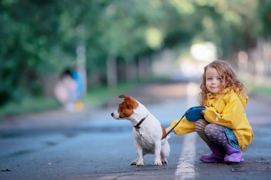 bir köpek jack russell terrier ile küçük kız / çocuk çocukluk dostluk, evcil hayvan, sonbahar parkı yürüyüş küçük köpek