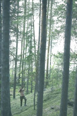 adam orman yaz / orman peyzaj avcılık gider, bir av tüfeği avı ile avcı