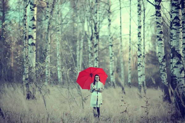 Chica Paraguas Bosque Paisaje Otoño Vista Mujer Joven Con Paraguas — Foto de Stock