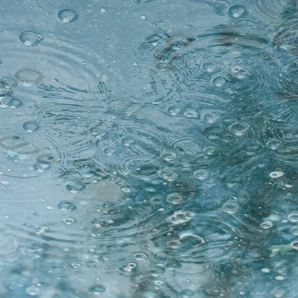 Синій Фон Калюжа Дощу Дощів Кола Калюжі Бульбашки Воді Погода — стокове фото