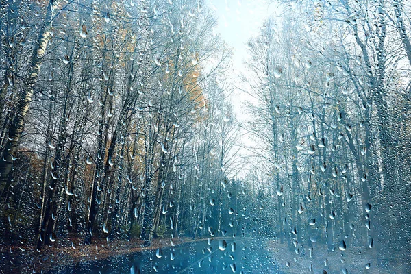 rain window autumn park branches leaves yellow / abstract autumn background, landscape in a rainy window, weather October rain