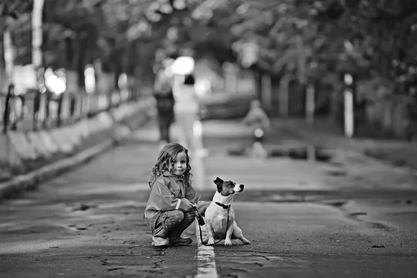 犬ジャックラッセルテリア 子供の子供時代の友情 ペット 秋の公園の散歩で小さな犬を持つ小さな女の子 — ストック写真