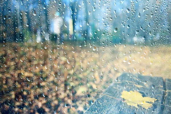 雨窓秋の公園の枝は黄色 抽象的な秋の背景 雨の窓の風景 天気10月の雨を残します — ストック写真