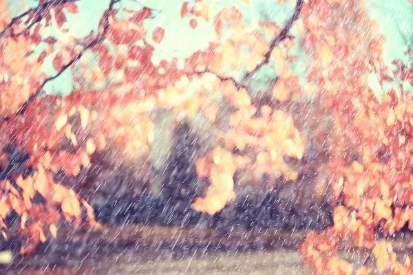 Herfst Regen Achtergrond Druppels Abstract Herfst Landschap Regenachtig Weer Seizoensgebonden — Stockfoto
