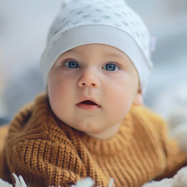 Dítě Teplém Svetru Dětský Chlapec Portrét Sezónní Oblečení Teplý Pletený — Stock fotografie