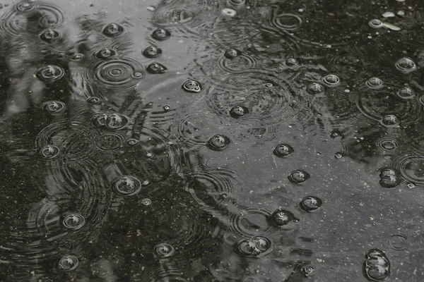 Fundo Poça Chuva Círculos Gotas Uma Poça Textura Com Bolhas — Fotografia de Stock