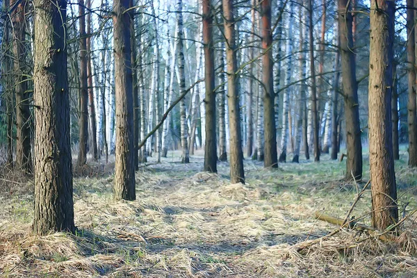 美しい秋の公園の風景 黄色い葉の木 秋の風景 葉の秋 — ストック写真