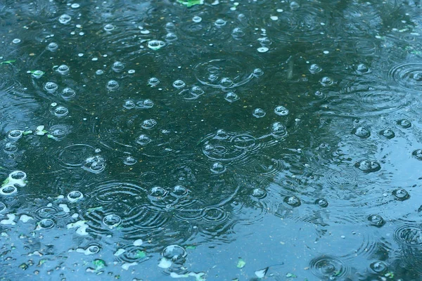 Blauwe Achtergrond Plas Van Regen Regendruppels Cirkels Een Plas Bubbels — Stockfoto