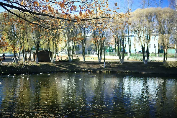 秋天的景观在公园 季节性黄色景观阳光公园与落叶 — 图库照片