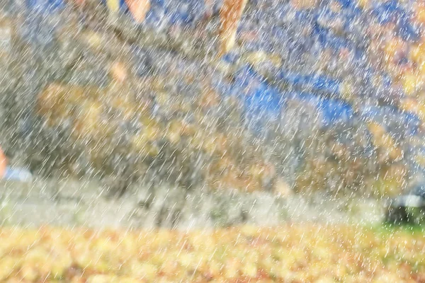 秋の雨の背景が落ちる 雨天の抽象的な秋の風景 公園の季節の風景 — ストック写真