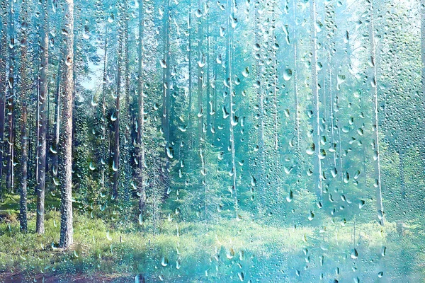 Zomer Regen Nat Glas Abstract Achtergrond Landschap Een Regenachtige Dag — Stockfoto