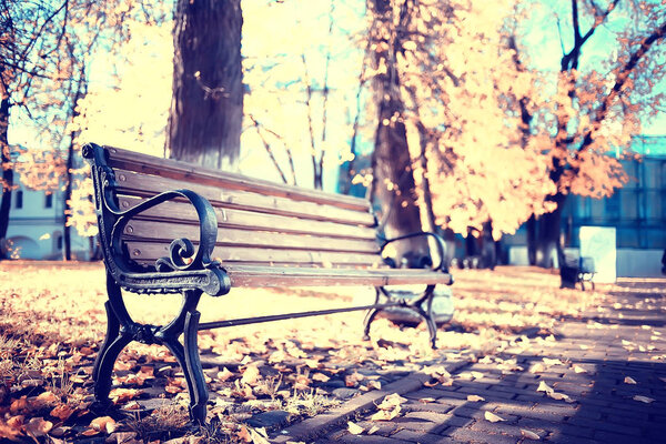 bench in autumn park landscape / seasonal landscape rest in autumn lonely park