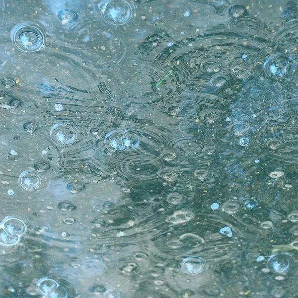 Charco Fondo Azul Lluvia Gotas Lluvia Círculos Charco Burbujas Agua —  Fotos de Stock